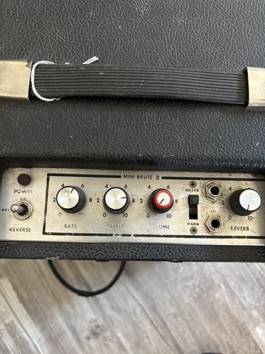 Polytone mini brute single - mini, ii