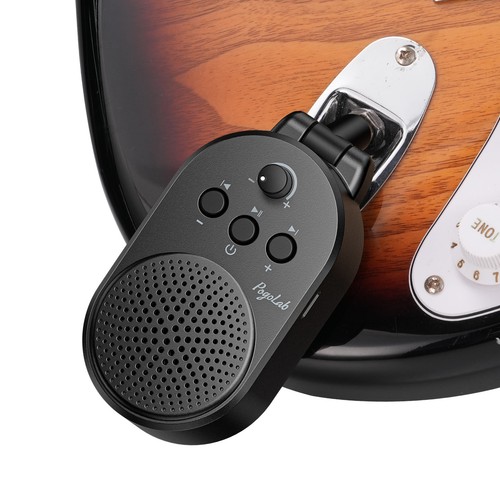 Pogolab mini guitar amp - pogolab,